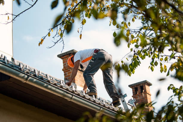 Best Roof Leak Repair  in Woody, WA