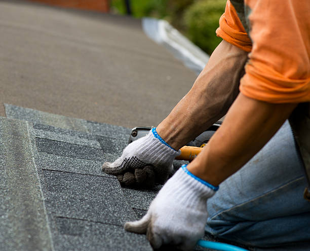 Best Roof Maintenance Services  in Woody, WA