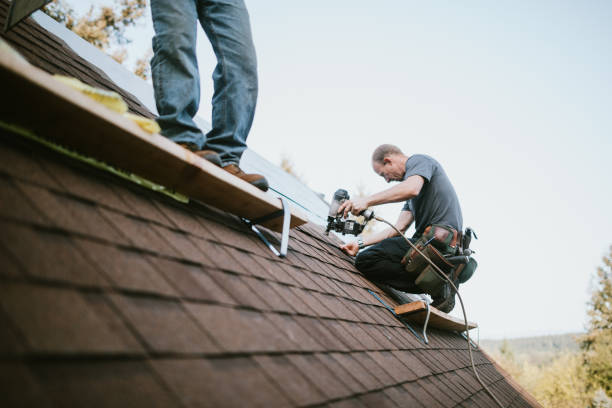 Best Roof Maintenance Services  in Woody, WA